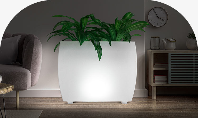 Trapezista Planter