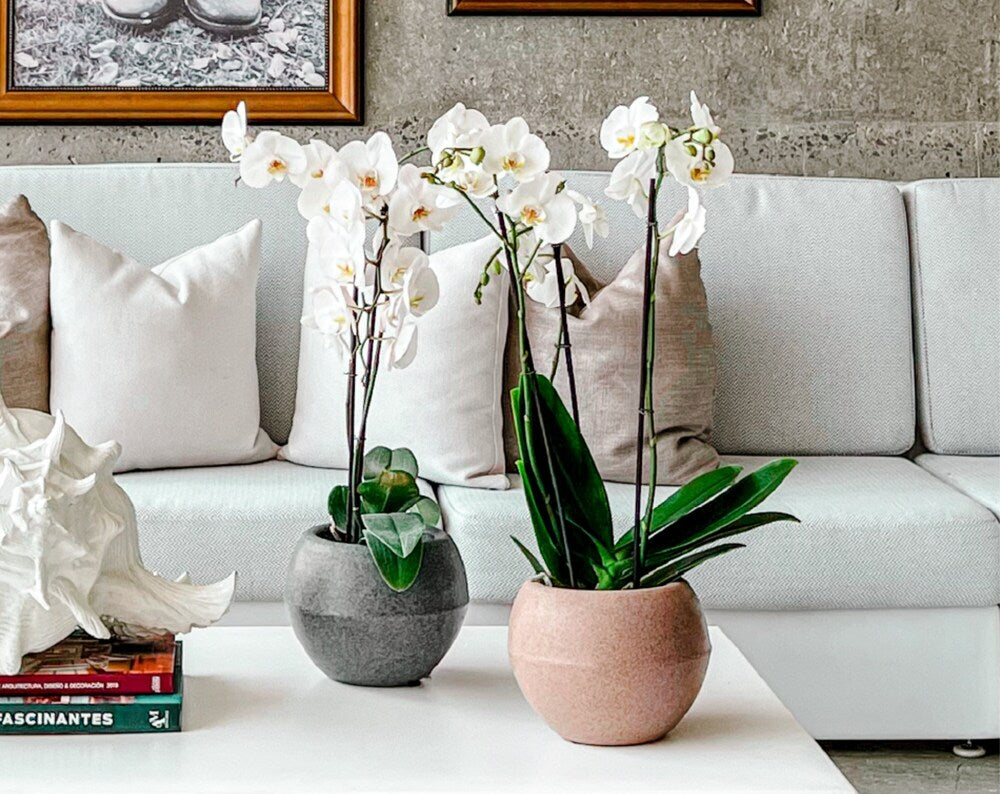 Orbit Polyethylene Planters